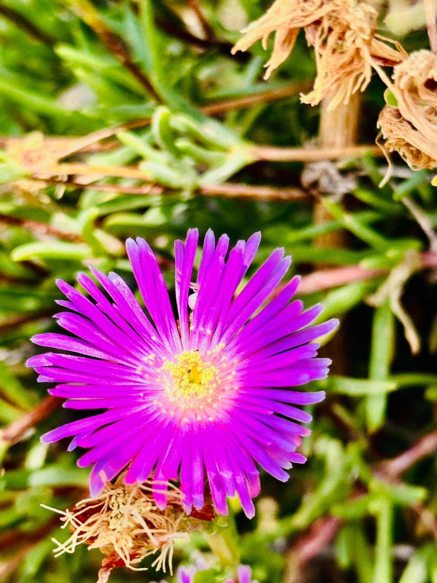 Xrysanthis Home Emborió Kültér fotó